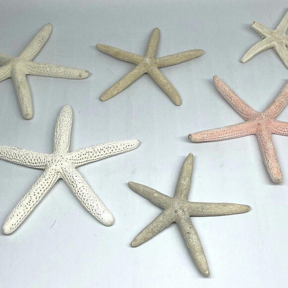 Other - Natural Dried Starfish‎ Multicolor Nautical Decor LOT of 6 Pieces